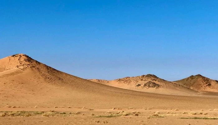The Red Sea